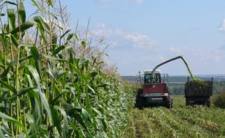 В Витебской области сокращается минусовой разрыв к уровню прошлого года в заготовке травяных кормов
